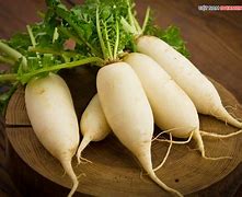 Daikon Là Củ Gì