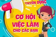 Giờ Làm Việc Của Trung Tâm Giới Thiệu Việc Làm Hải Phòng