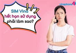 Sim Vinaphone Hết Hạn Sử Dụng Phải Làm Sao