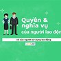 Trong Pháp Luật Lao Động Có Mấy Nguyên Tắc Cơ Bản