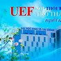 Uef Học Phí Các Ngành 2024