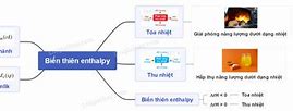 Ứng Động Là Hình Thức Phản Ứng